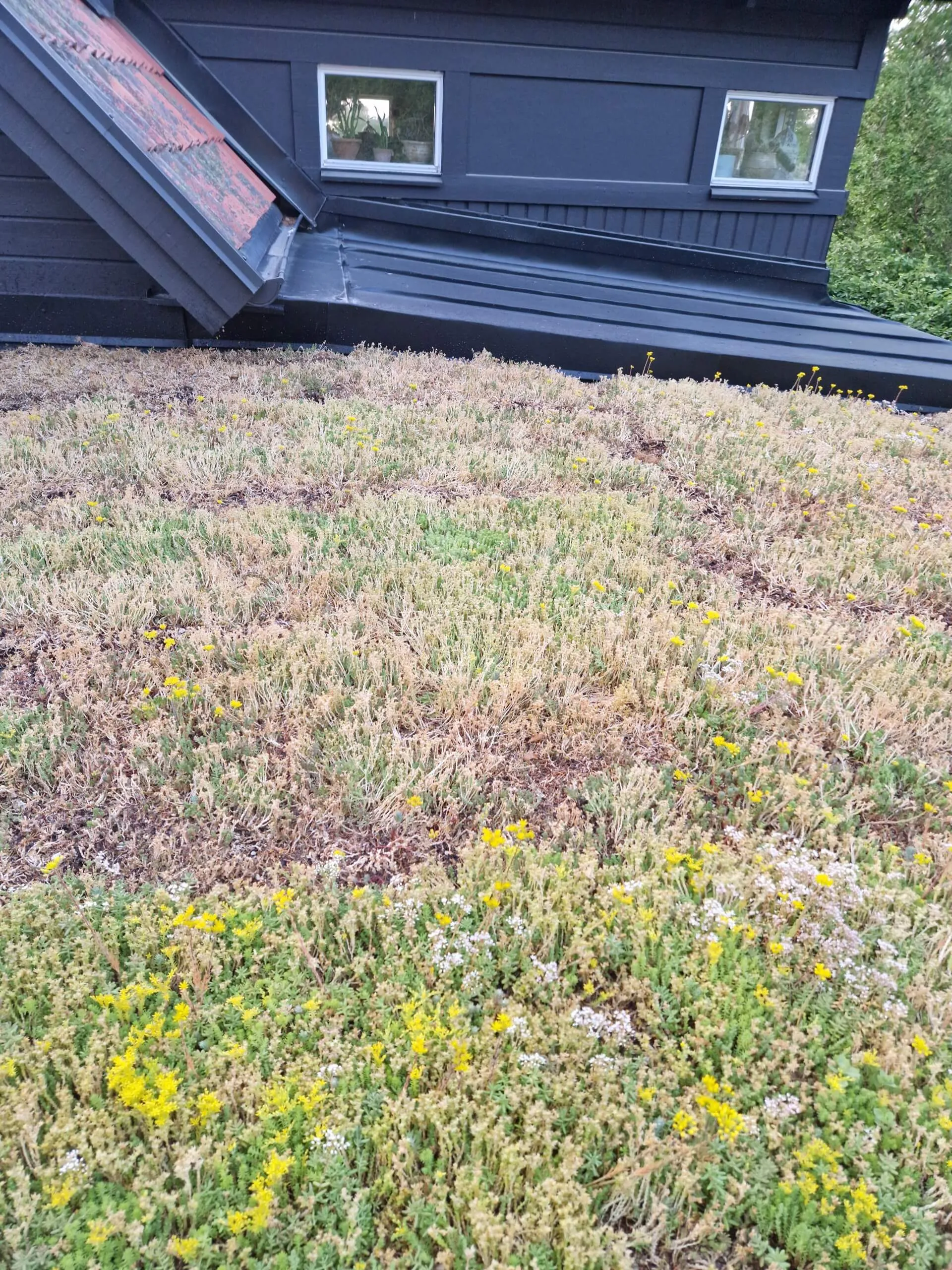 Tak med monterad taksäkerhet
